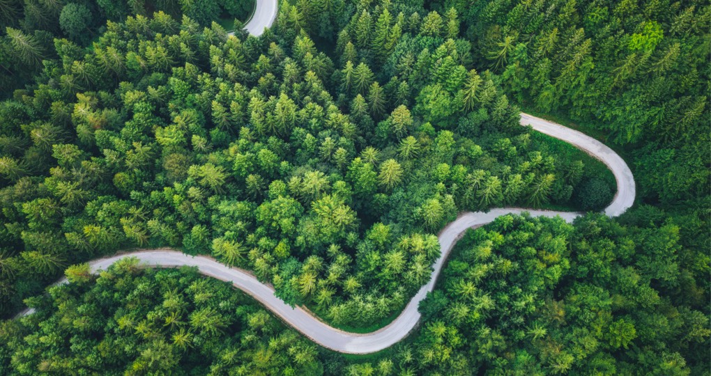 An aerial view of a winding road through a forest