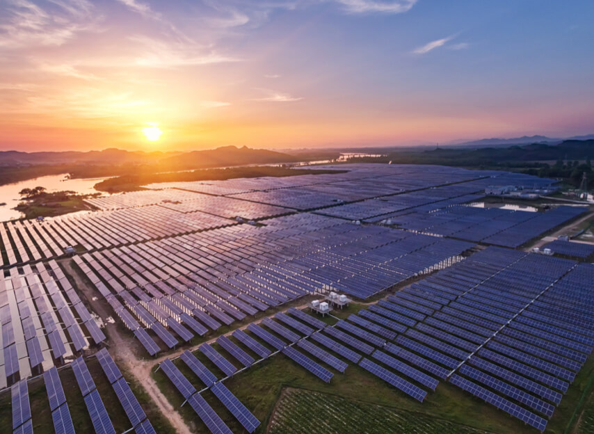 A field of solar panels