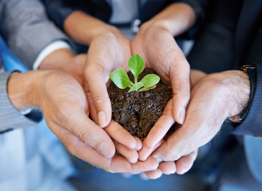 People holding a seedling