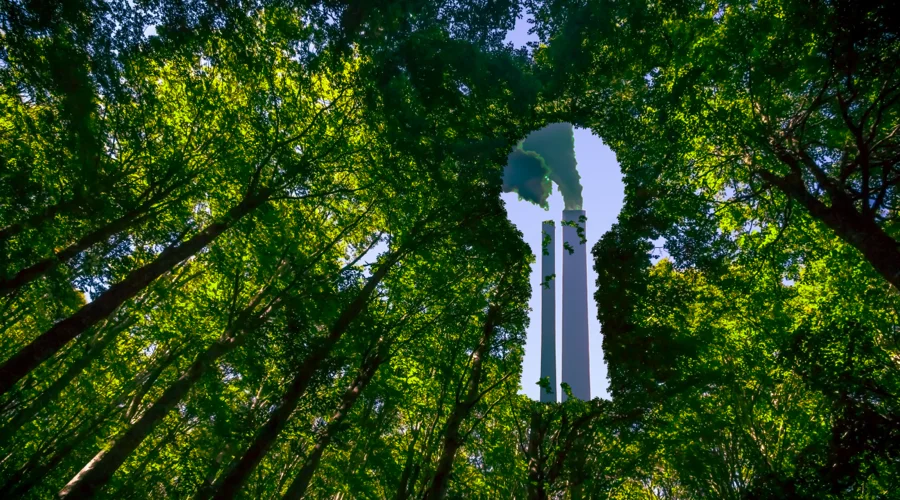 Standardized ESG scores could actually make greenwashing easier