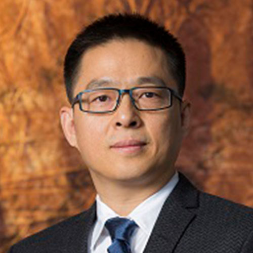 Dr. Chengyao Lei