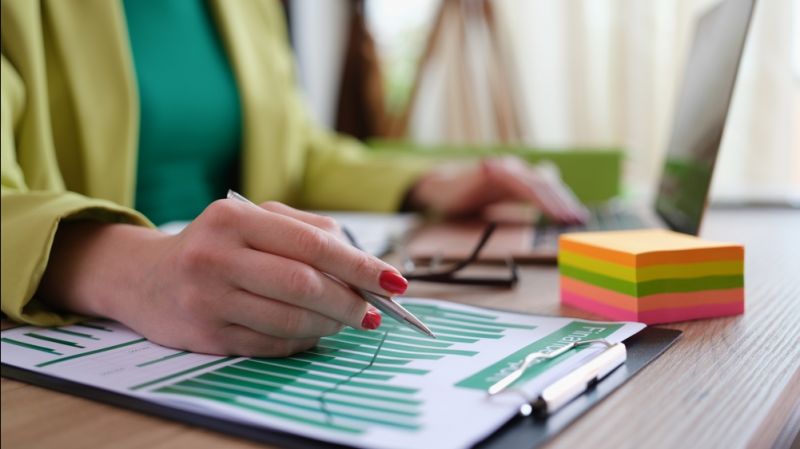 An auditor checks the company's annual financial statements.