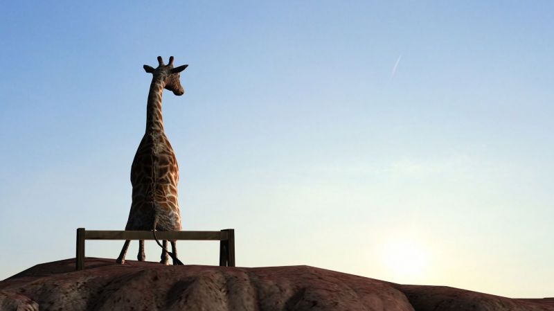 The Image of Giraffe