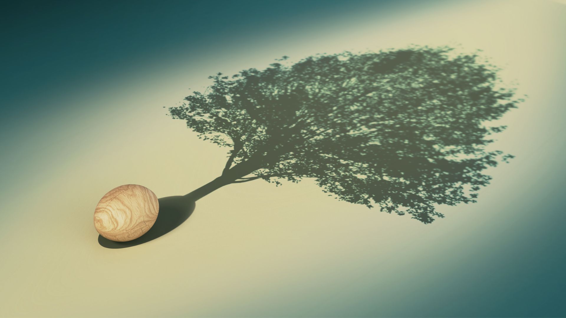 Little seed casting shadow of a grown tree on a surface in soft light