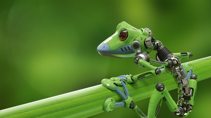 Treefrog robot stock photo