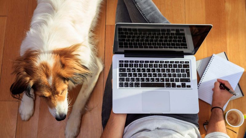 Millennial working with a computer laptop on the wooden floor next to dog. 