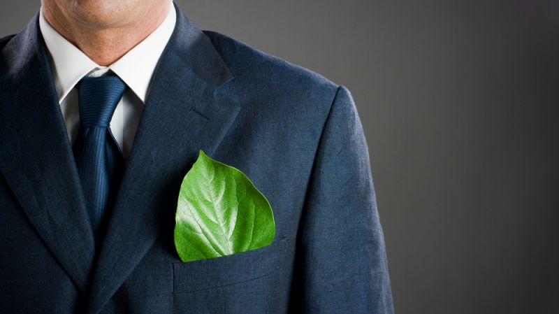 Research Brief: How Green Leaders at Work Leave Their Mark