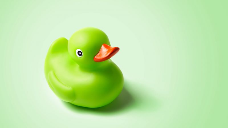 Green rubber ducky.