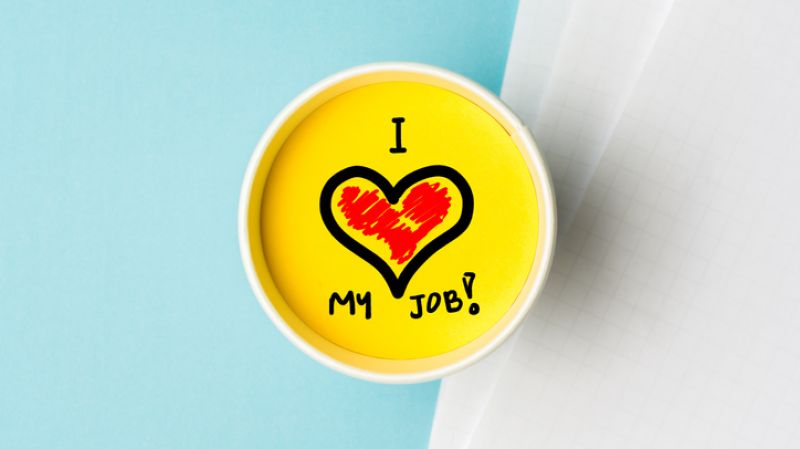 i love my job