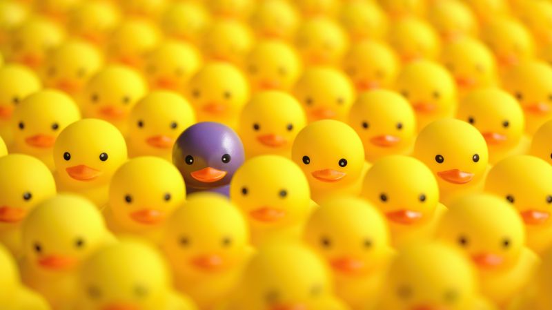Large group of yellow rubber ducks, with one different contrasting purple rubber duck among the group, standing out from the crowd. 
